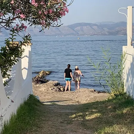 Evi Family K Kávos